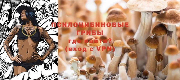 спайс Верея