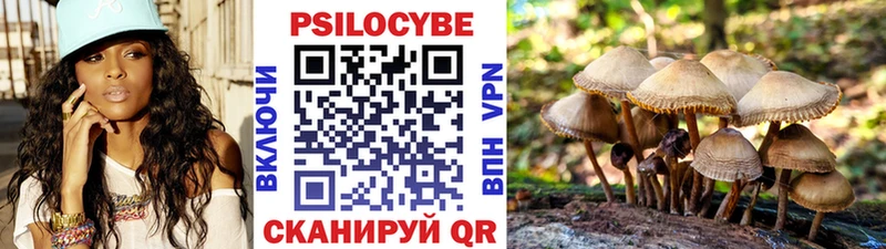 Псилоцибиновые грибы GOLDEN TEACHER  Купить  Кемь 